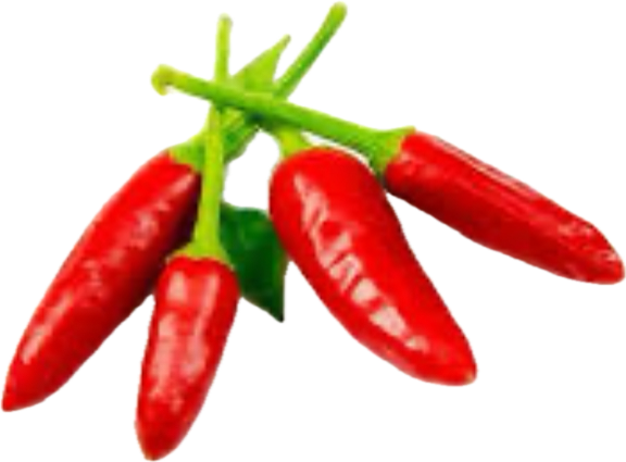 Krua-Thai-Bistro